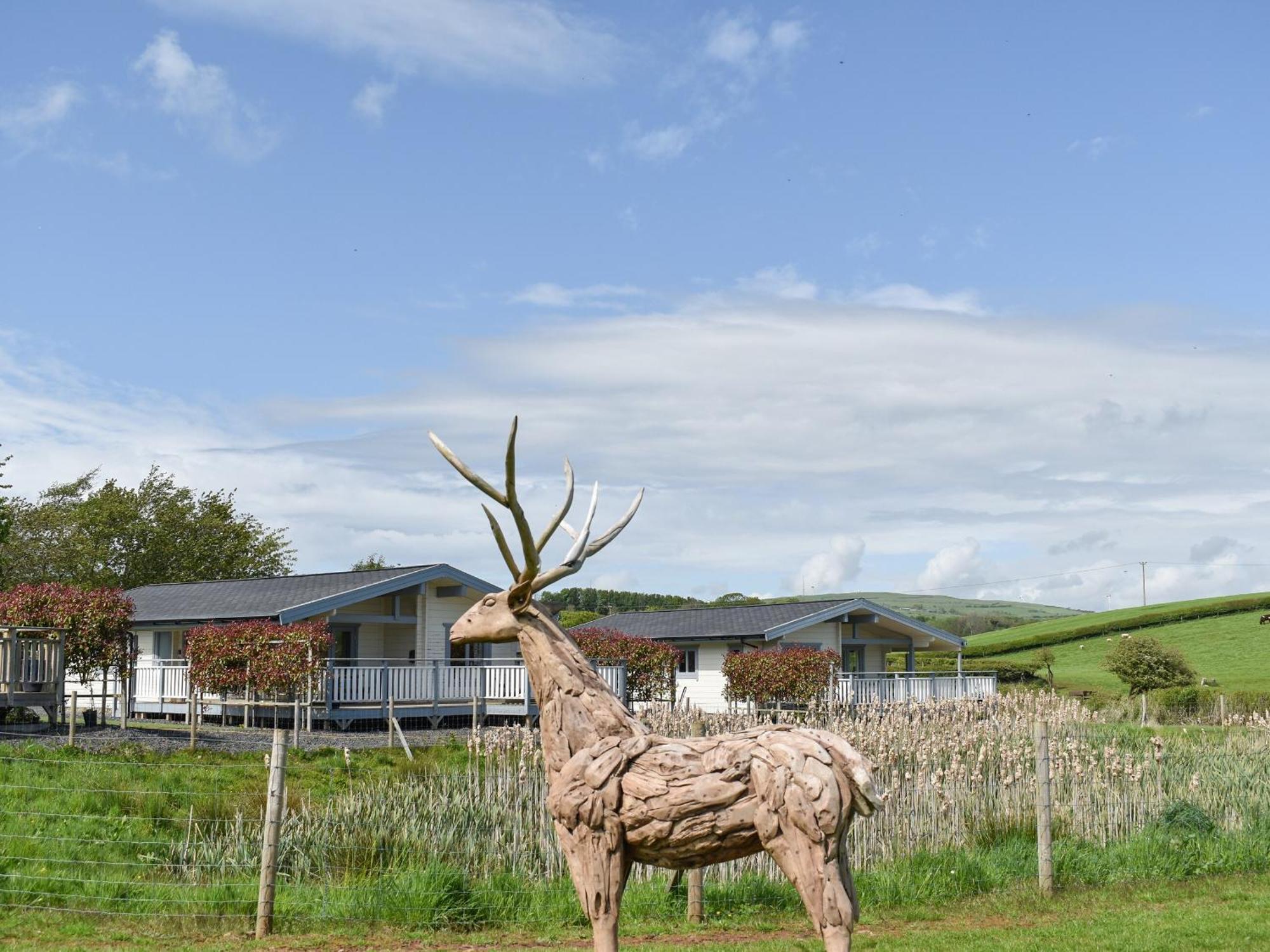 Pine Lodge - Uk30007 Lindal in Furness Exterior foto