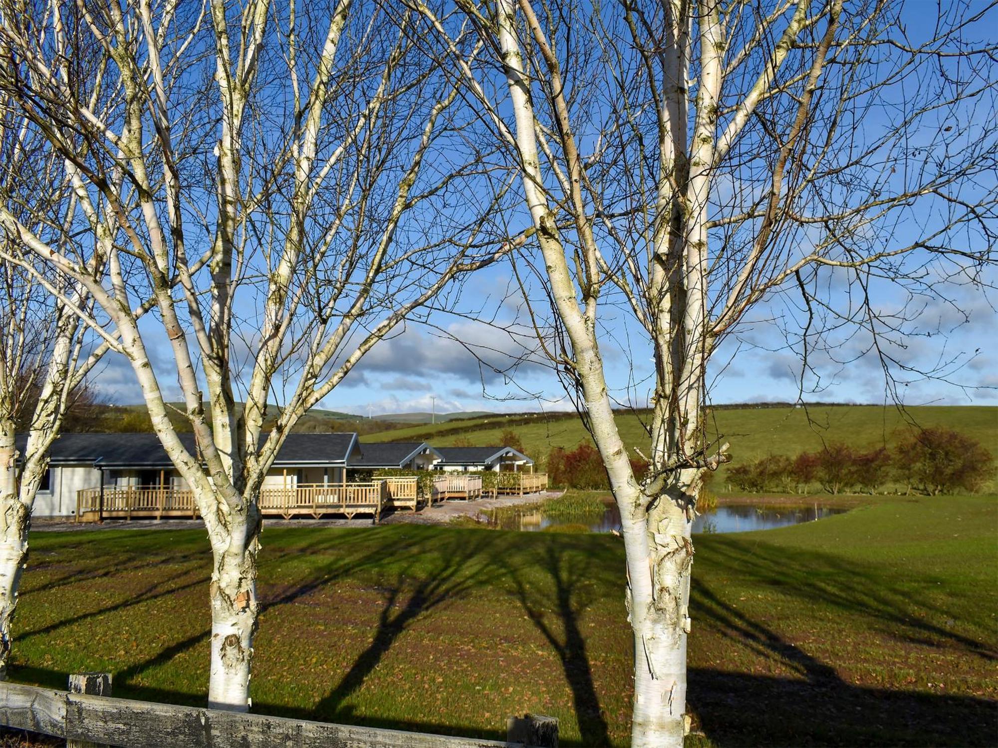 Pine Lodge - Uk30007 Lindal in Furness Exterior foto